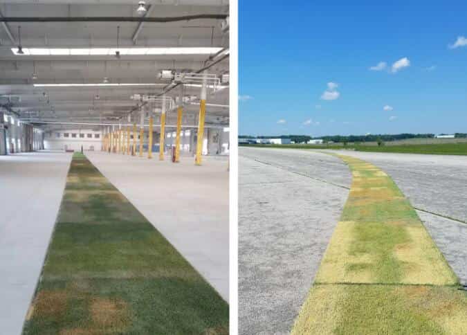 室內(nèi)、室外不同季節(jié)不同地區(qū)代表性仿真草地