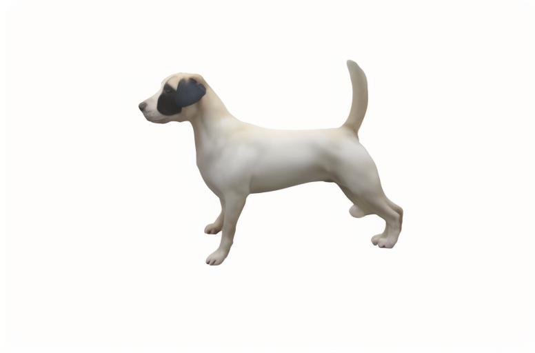 大中型犬類動(dòng)物目標(biāo)物